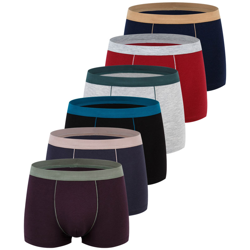 ขนาดใหญ่ขนาดชุดชั้นในชายผ้าฝ้า - Boxer Brief Pack Cotton บทวิจารณ์และราคา